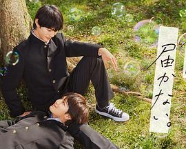 春风十里 退休的老王